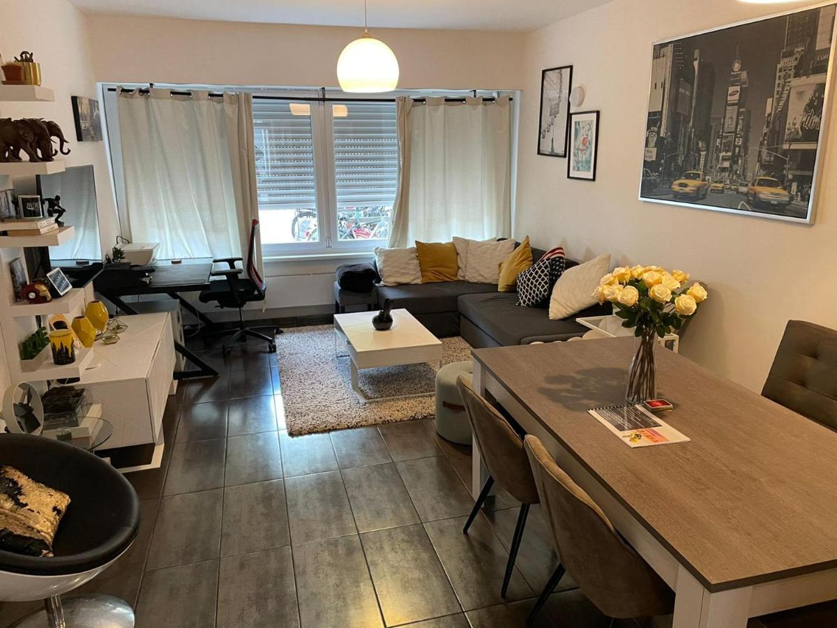 Modern Apartment With Garden In Antwerp, 15Min From City Center Exteriér fotografie
